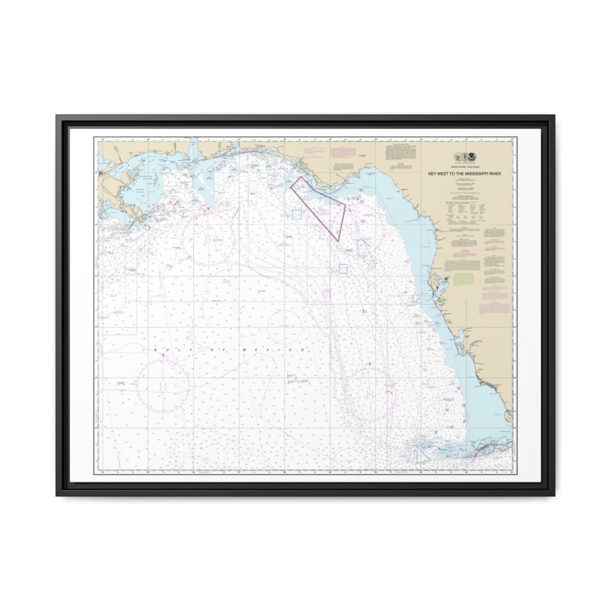 Chart 11006 Gulf Coast - Key West to Mississippi River - NOAA Nautical Chart Floating Frame Canvas | 32" x 24" | 40" x 30" - Black front