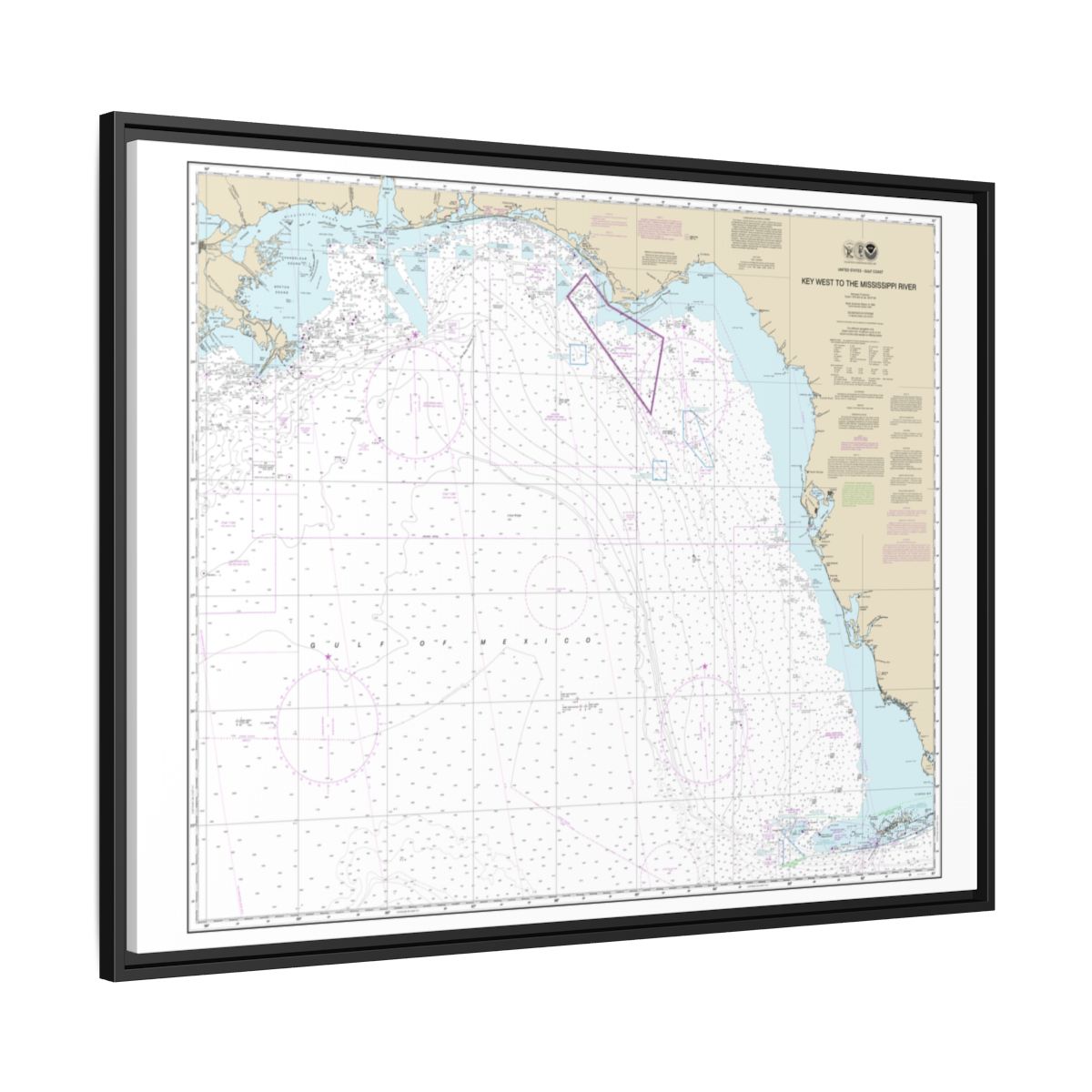 Chart 11006 Gulf Coast - Key West to Mississippi River - NOAA Nautical Chart Floating Frame Canvas | 32" x 24" | 40" x 30" - Black side