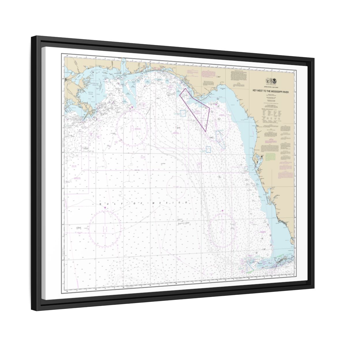 Chart 11006 Gulf Coast - Key West to Mississippi River - NOAA Nautical Chart Floating Frame Canvas | 32" x 24" | 40" x 30" - Black side