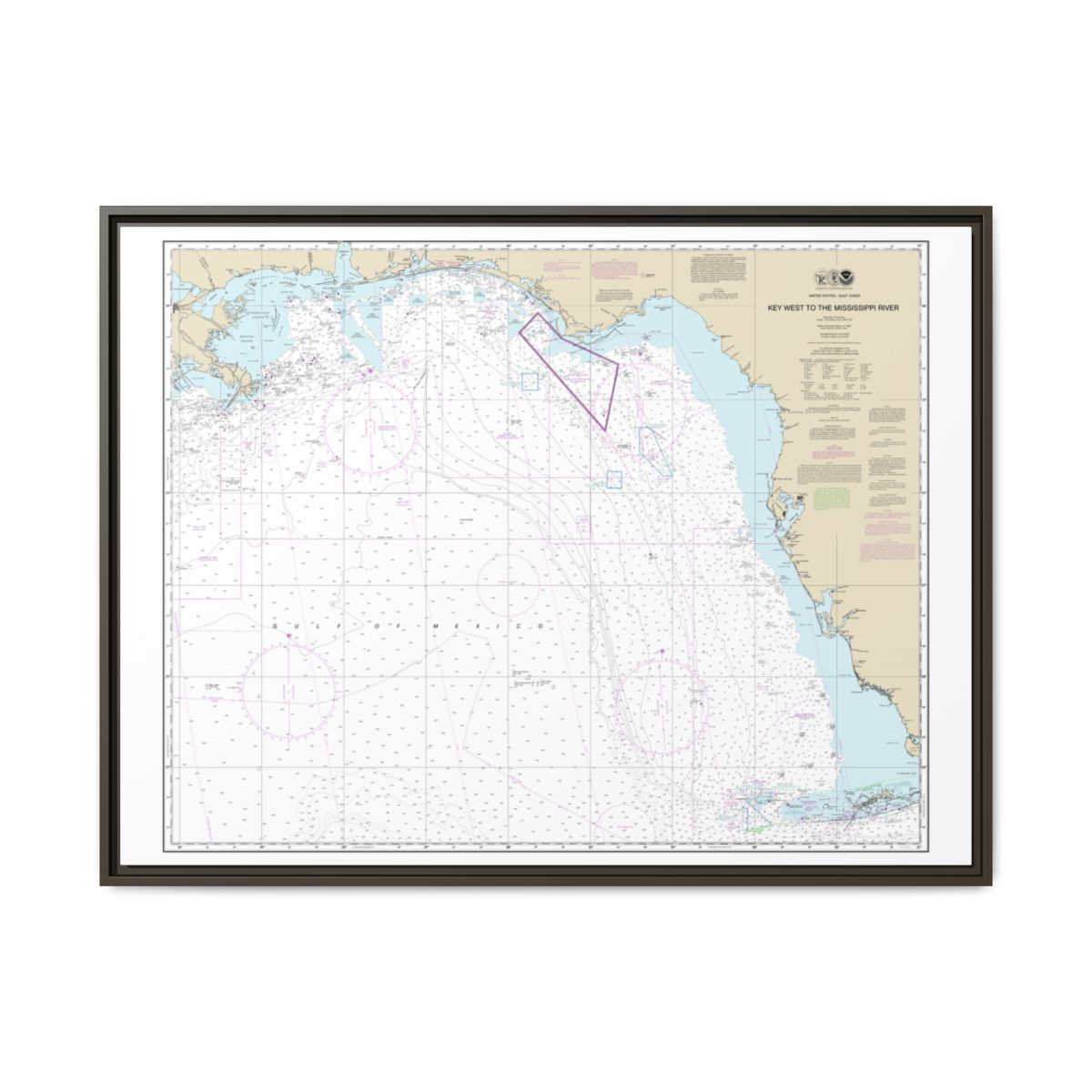 Chart 11006 Gulf Coast - Key West to Mississippi River - NOAA Nautical Chart Floating Frame Canvas | 32" x 24" | 40" x 30" - Espresso front