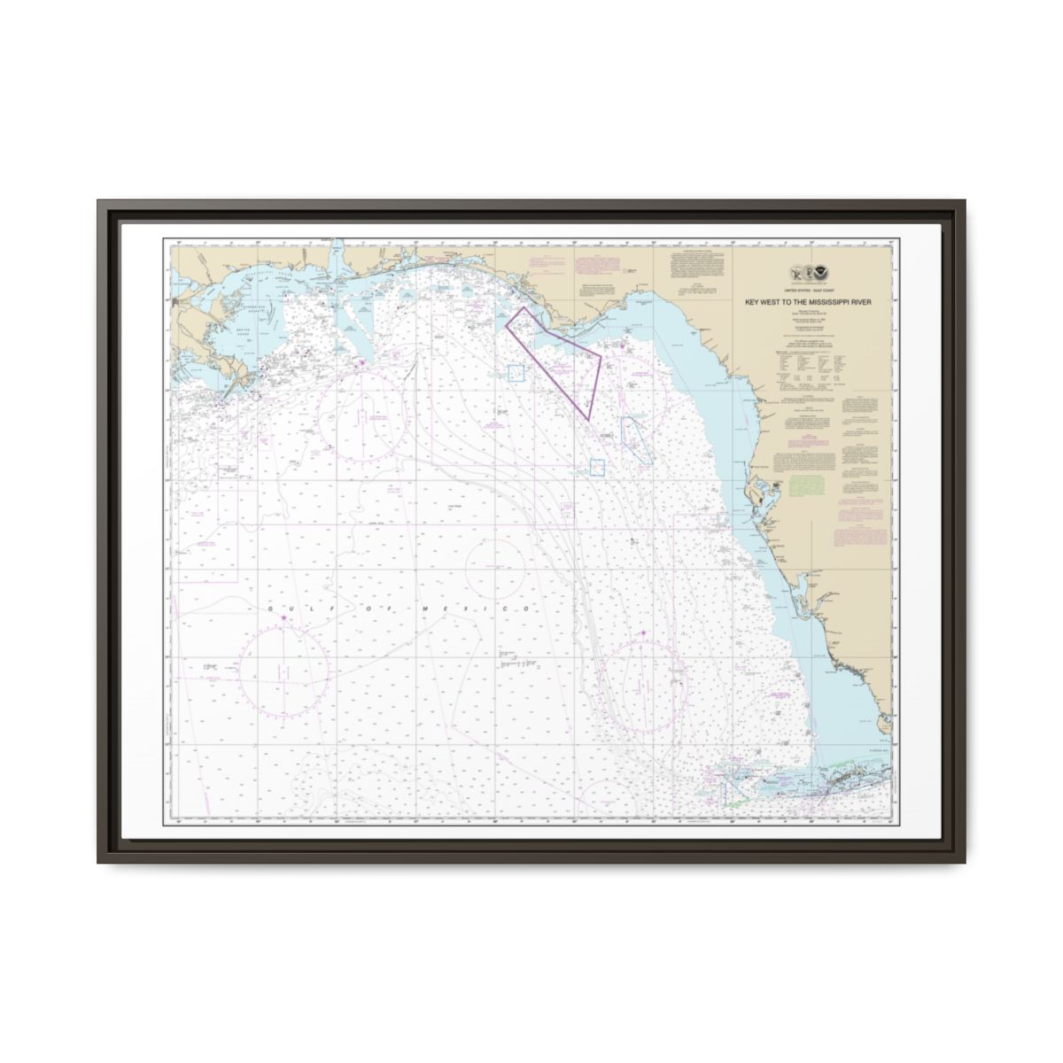 Chart 11006 Gulf Coast - Key West to Mississippi River - NOAA Nautical Chart Floating Frame Canvas | 32" x 24" | 40" x 30" - Espresso front