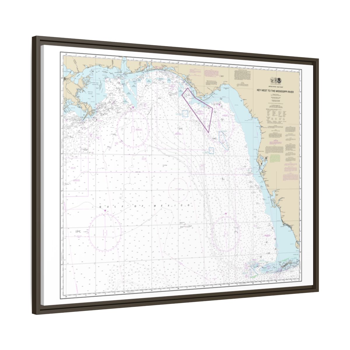 Chart 11006 Gulf Coast - Key West to Mississippi River - NOAA Nautical Chart Floating Frame Canvas | 32" x 24" | 40" x 30" - Espresso side