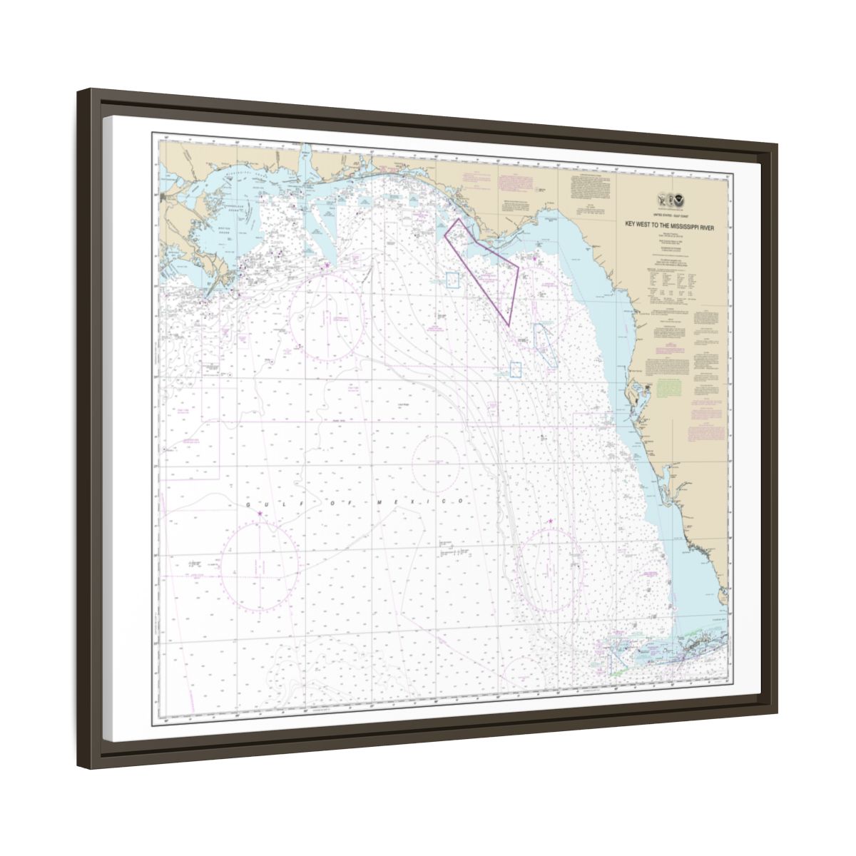 Chart 11006 Gulf Coast - Key West to Mississippi River - NOAA Nautical Chart Floating Frame Canvas | 32" x 24" | 40" x 30" - Espresso side
