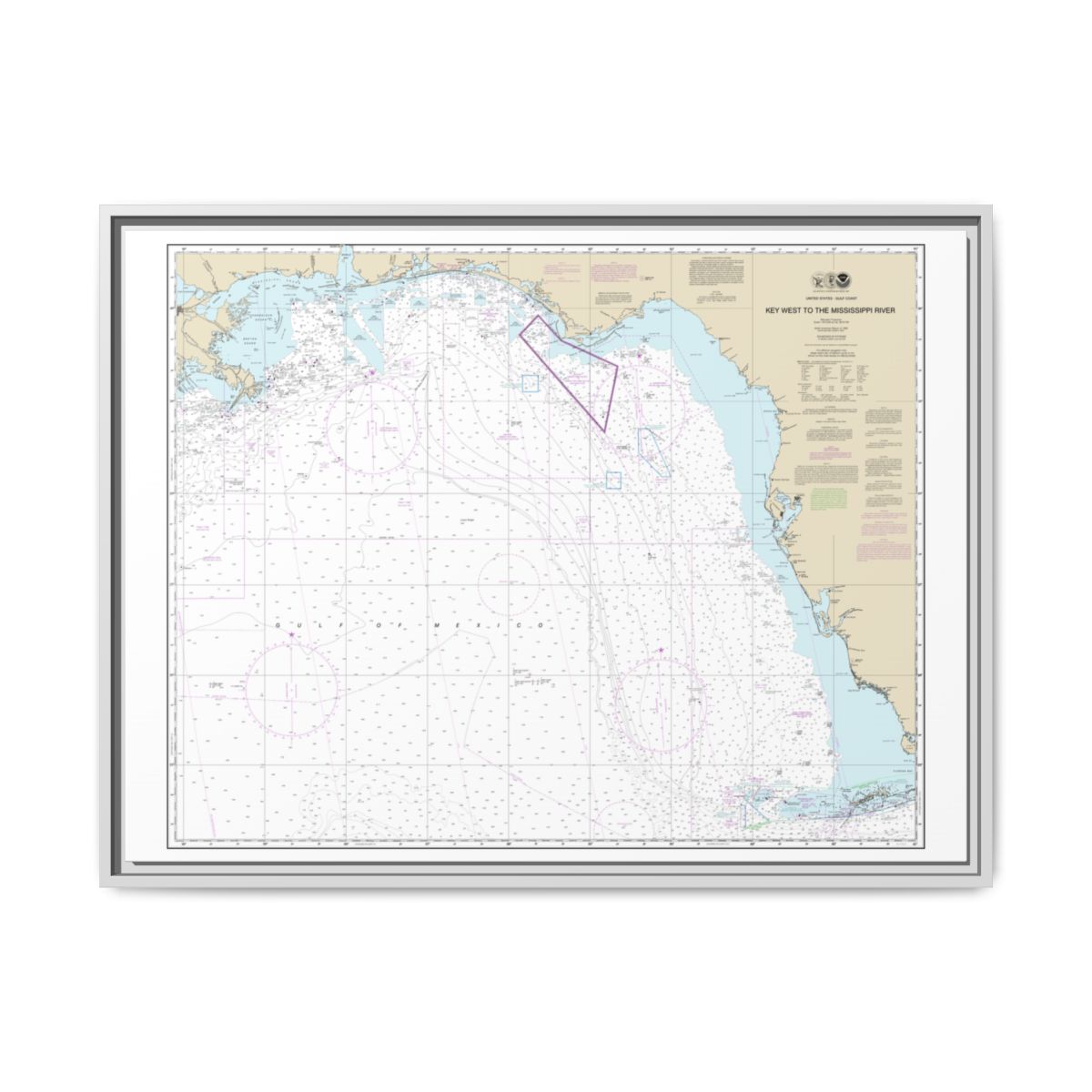 Chart 11006 Gulf Coast - Key West to Mississippi River - NOAA Nautical Chart Floating Frame Canvas | 32" x 24" | 40" x 30" - White front
