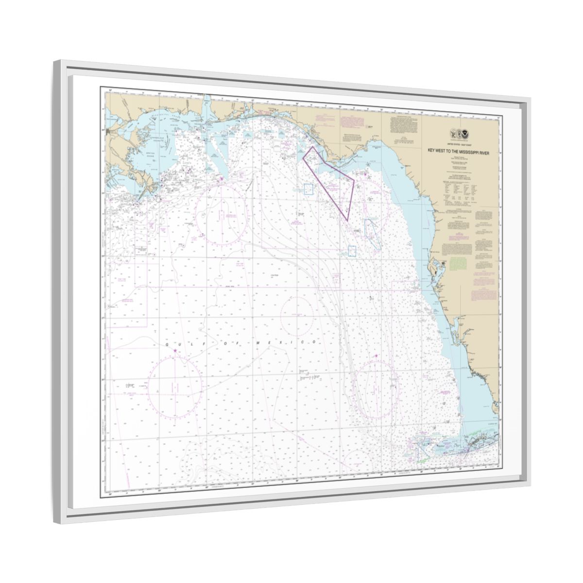 Chart 11006 Gulf Coast - Key West to Mississippi River - NOAA Nautical Chart Floating Frame Canvas | 32" x 24" | 40" x 30" - White side