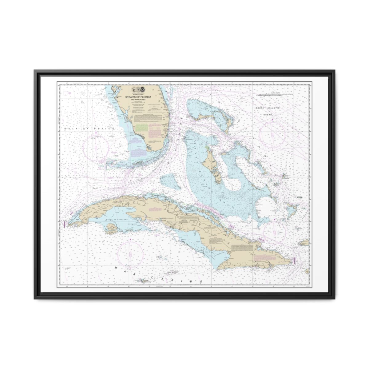 Chart 11013 Straits of Florida and Approaches - NOAA Nautical Chart Floating Frame Canvas | 32" x 24" | 40" x 30" - Black front