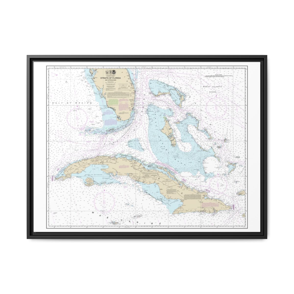 Chart 11013 Straits of Florida and Approaches - NOAA Nautical Chart Floating Frame Canvas | 32" x 24" | 40" x 30" - Black front