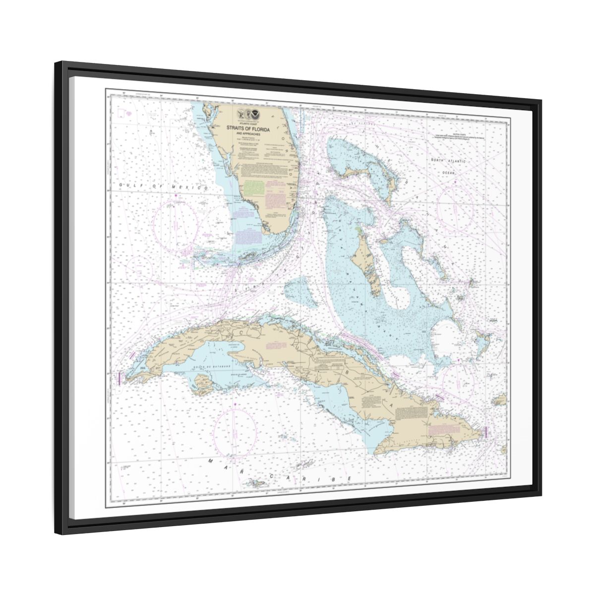 Chart 11013 Straits of Florida and Approaches - NOAA Nautical Chart Floating Frame Canvas | 32" x 24" | 40" x 30" - Black side
