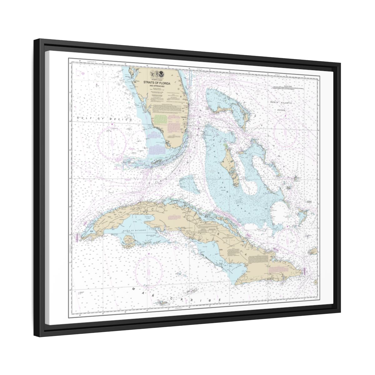 Chart 11013 Straits of Florida and Approaches - NOAA Nautical Chart Floating Frame Canvas | 32" x 24" | 40" x 30" - Black side