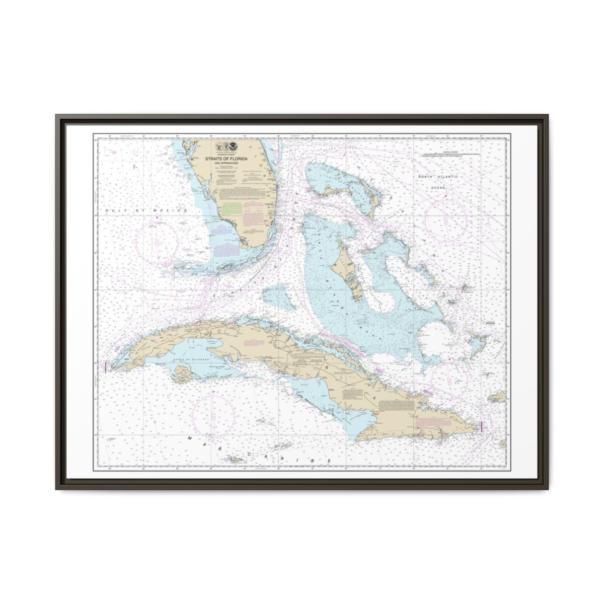 Chart 11013 Straits of Florida and Approaches - NOAA Nautical Chart Floating Frame Canvas | 32" x 24" | 40" x 30" - Espresso front