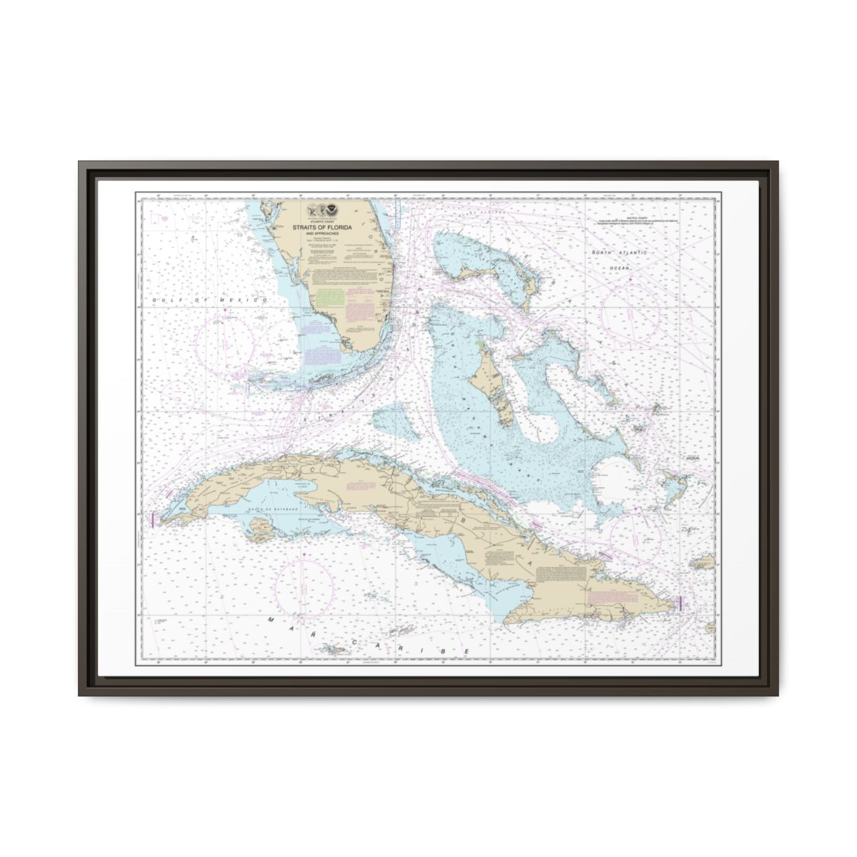 Chart 11013 Straits of Florida and Approaches - NOAA Nautical Chart Floating Frame Canvas | 32" x 24" | 40" x 30" - Espresso front