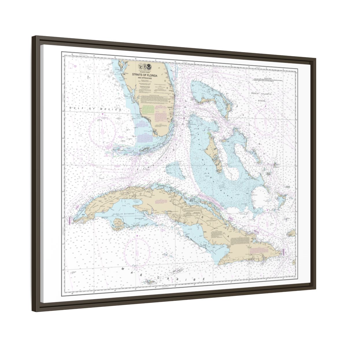 Chart 11013 Straits of Florida and Approaches - NOAA Nautical Chart Floating Frame Canvas | 32" x 24" | 40" x 30" - Espresso side