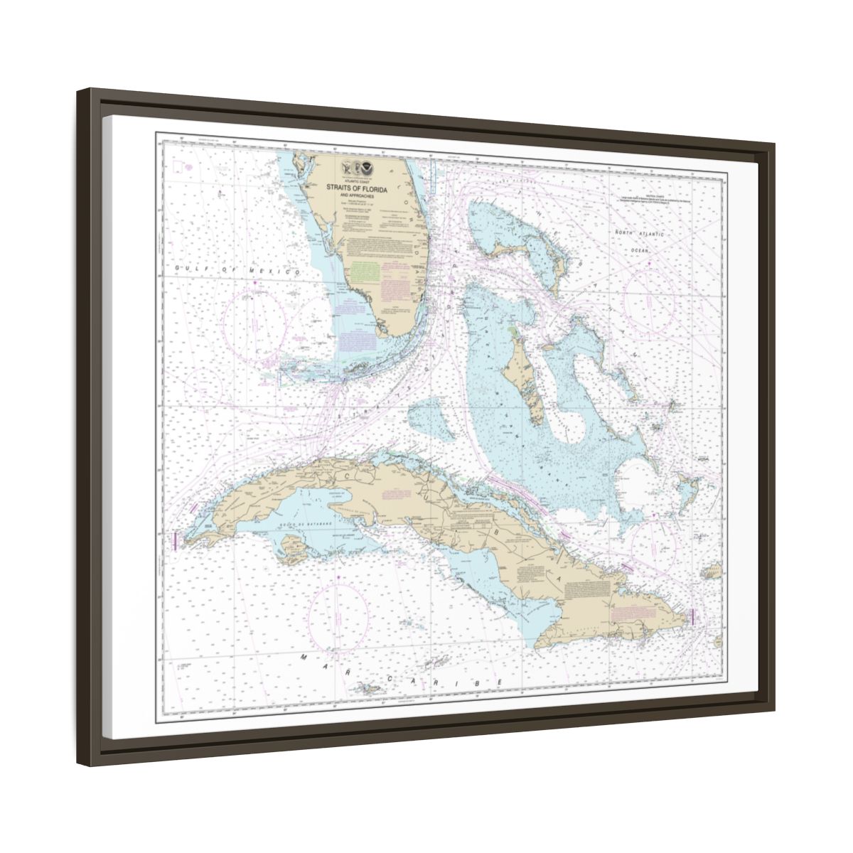 Chart 11013 Straits of Florida and Approaches - NOAA Nautical Chart Floating Frame Canvas | 32" x 24" | 40" x 30" - Espresso side