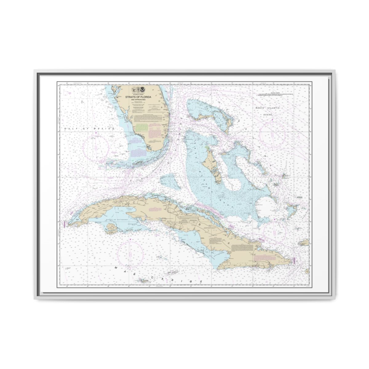 Chart 11013 Straits of Florida and Approaches - NOAA Nautical Chart Floating Frame Canvas | 32" x 24" | 40" x 30" - White front
