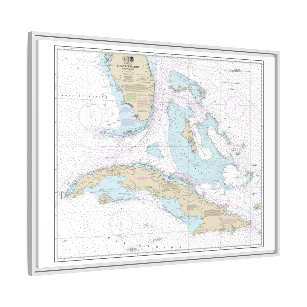 Chart 11013 Straits of Florida and Approaches - NOAA Nautical Chart Floating Frame Canvas | 32" x 24" | 40" x 30" - White side