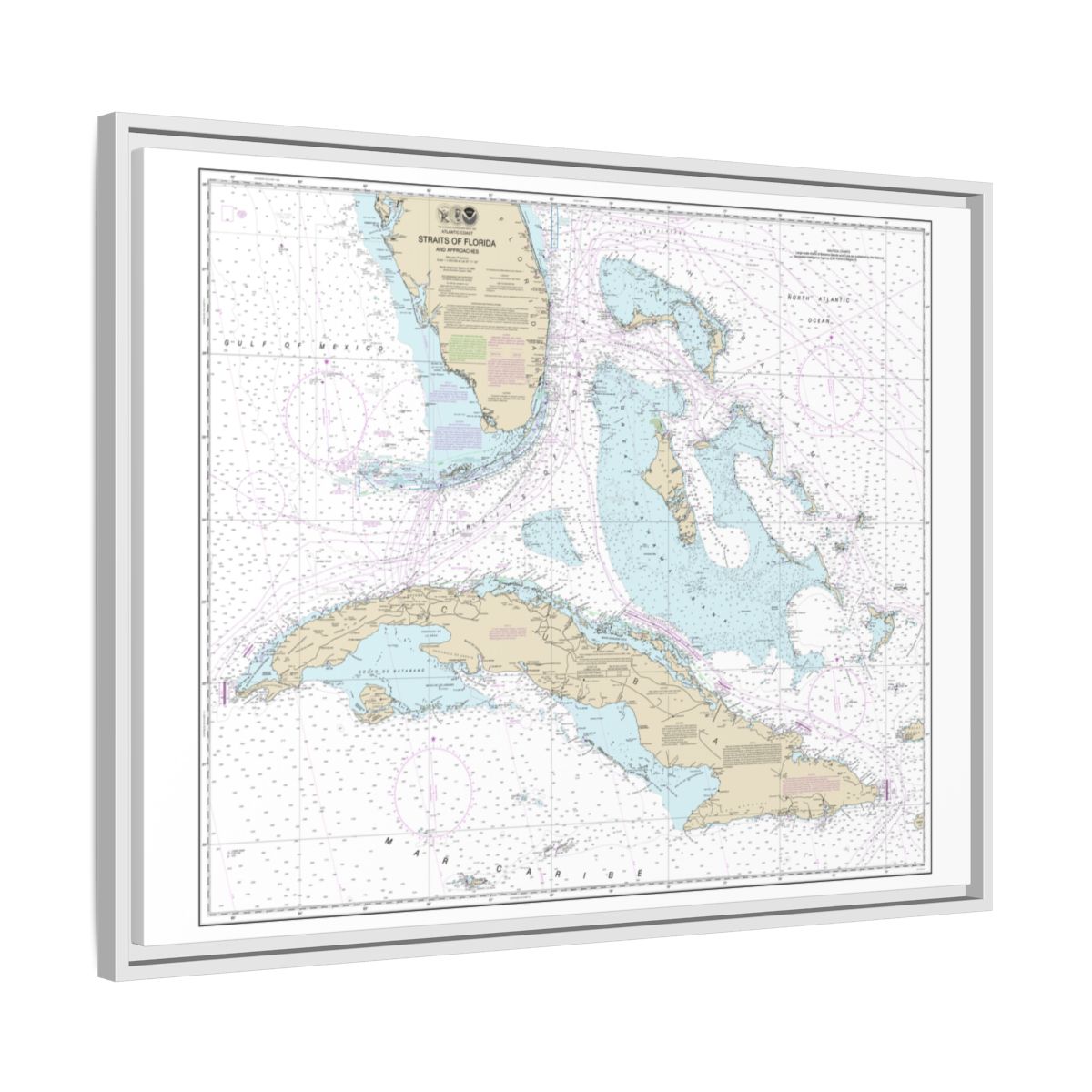 Chart 11013 Straits of Florida and Approaches - NOAA Nautical Chart Floating Frame Canvas | 32" x 24" | 40" x 30" - White side