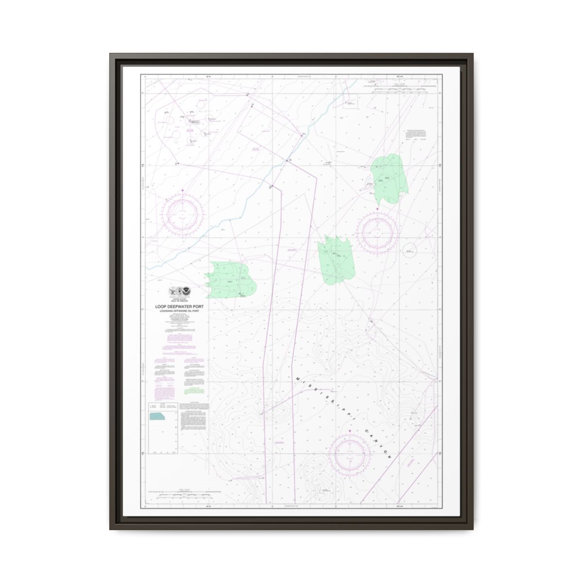 Chart 11359 Loop Deepwater Port Louisiana Offshore Oil Port - NOAA Nautical Chart Floating Frame Canvas | 24" x 32" | 30" x 40" - Espresso front