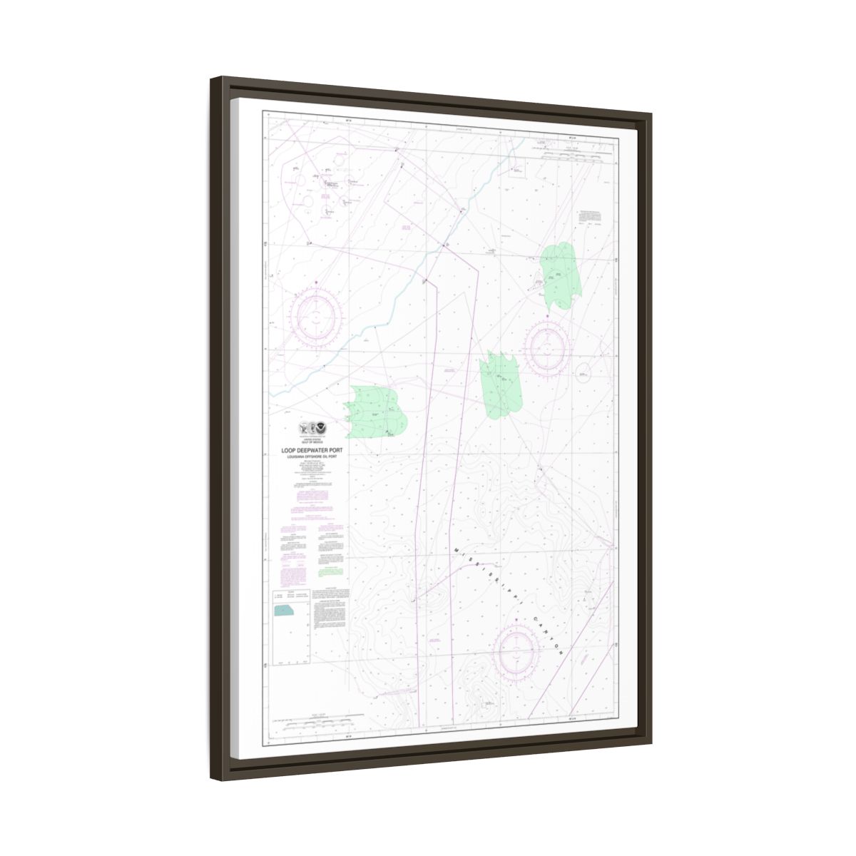 Chart 11359 Loop Deepwater Port Louisiana Offshore Oil Port - NOAA Nautical Chart Floating Frame Canvas | 24" x 32" | 30" x 40" - Espresso side