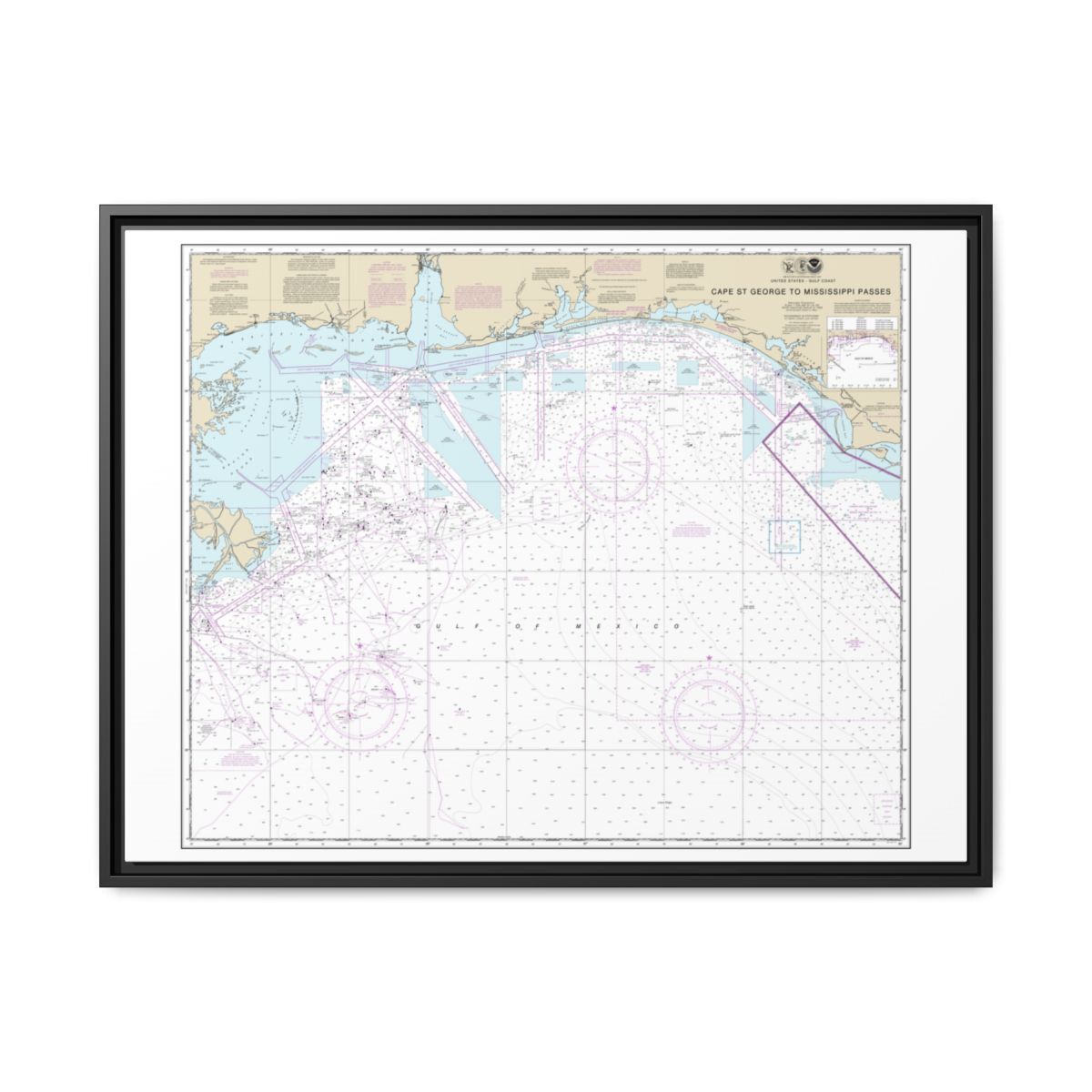 Chart 11360 Cape St. George to Mississippi Passes - NOAA Nautical Chart Floating Frame Canvas | 32" x 24" | 40" x 30" - Black front