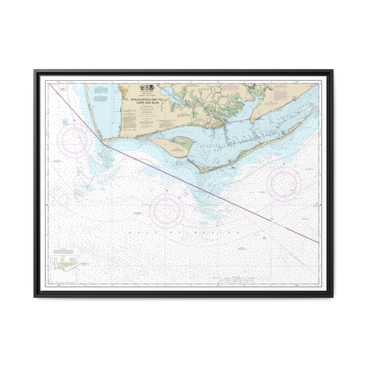 Chart 11401 Apalachicola Bay to Cape San Blas - NOAA Nautical Chart Floating Frame Canvas | 32" x 24" | 40" x 30" - Black front