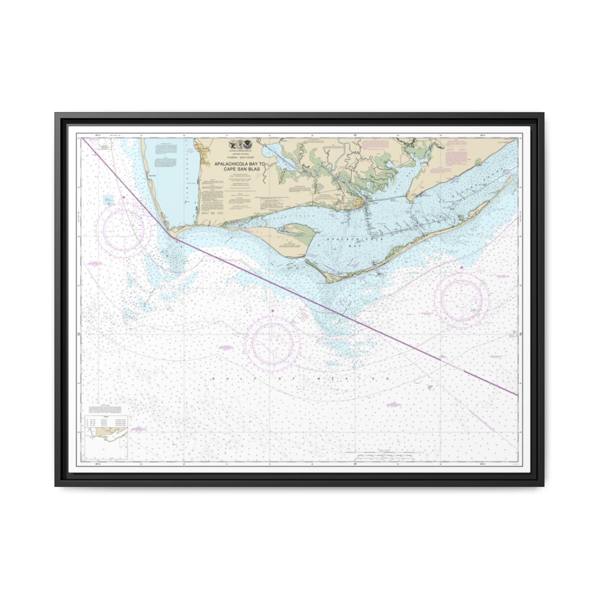 Chart 11401 Apalachicola Bay to Cape San Blas - NOAA Nautical Chart Floating Frame Canvas | 32" x 24" | 40" x 30" - Black front