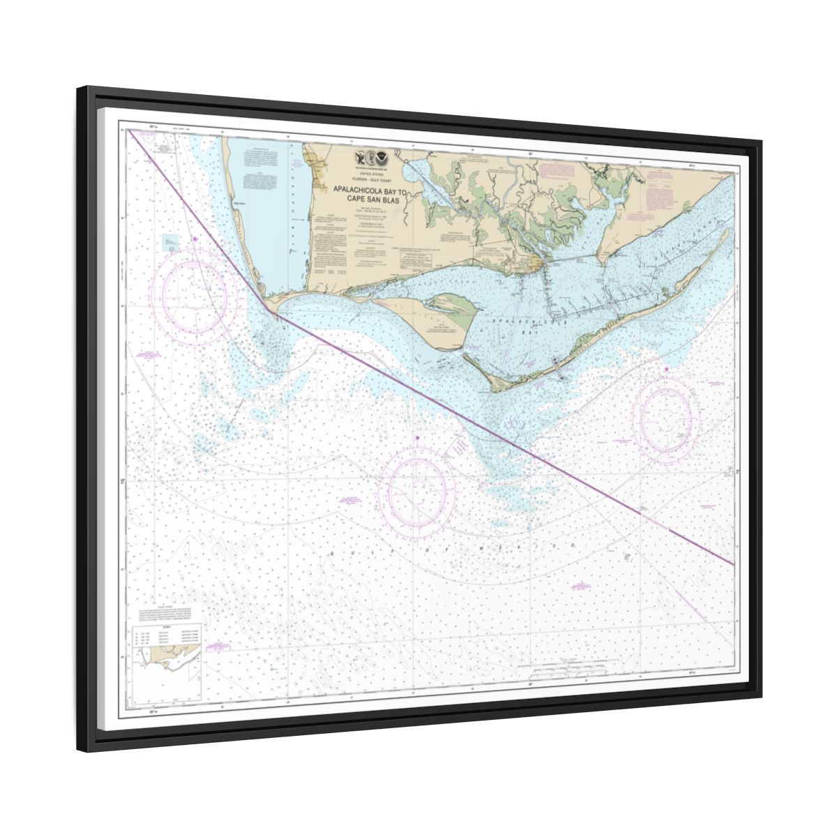Chart 11401 Apalachicola Bay to Cape San Blas - NOAA Nautical Chart Floating Frame Canvas | 32" x 24" | 40" x 30" - Black side