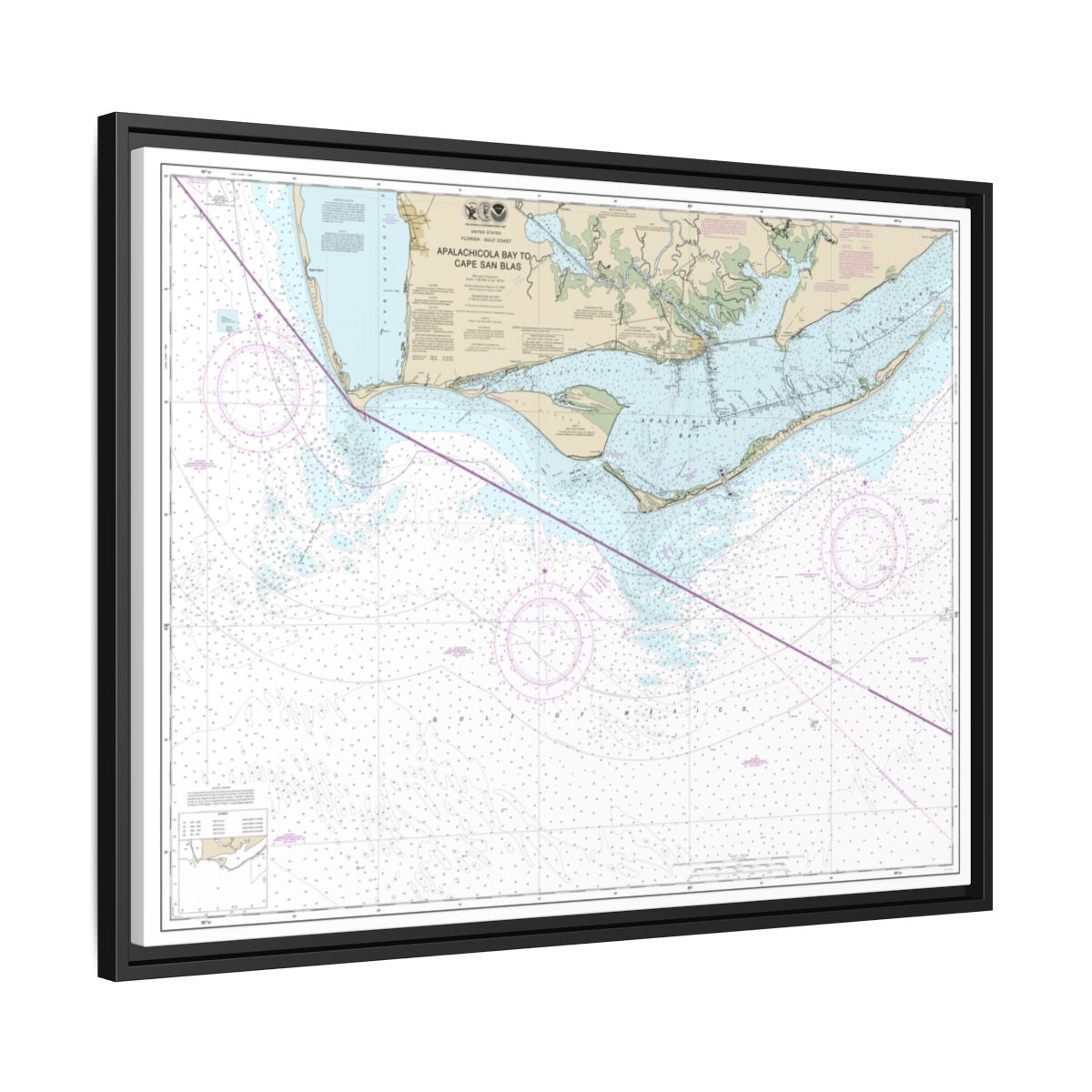 Chart 11401 Apalachicola Bay to Cape San Blas - NOAA Nautical Chart Floating Frame Canvas | 32" x 24" | 40" x 30" - Black side