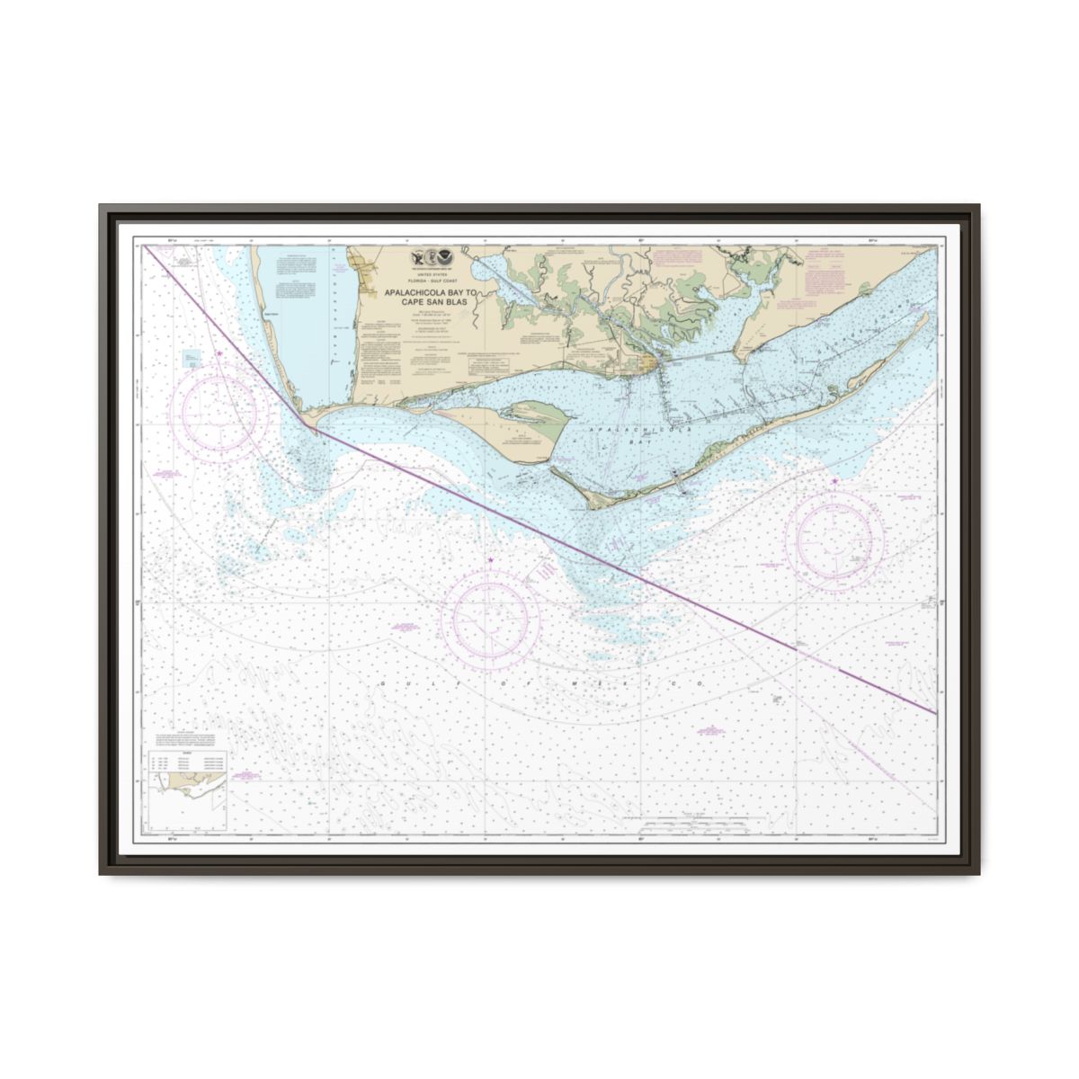 Chart 11401 Apalachicola Bay to Cape San Blas - NOAA Nautical Chart Floating Frame Canvas | 32" x 24" | 40" x 30" - Espresso front