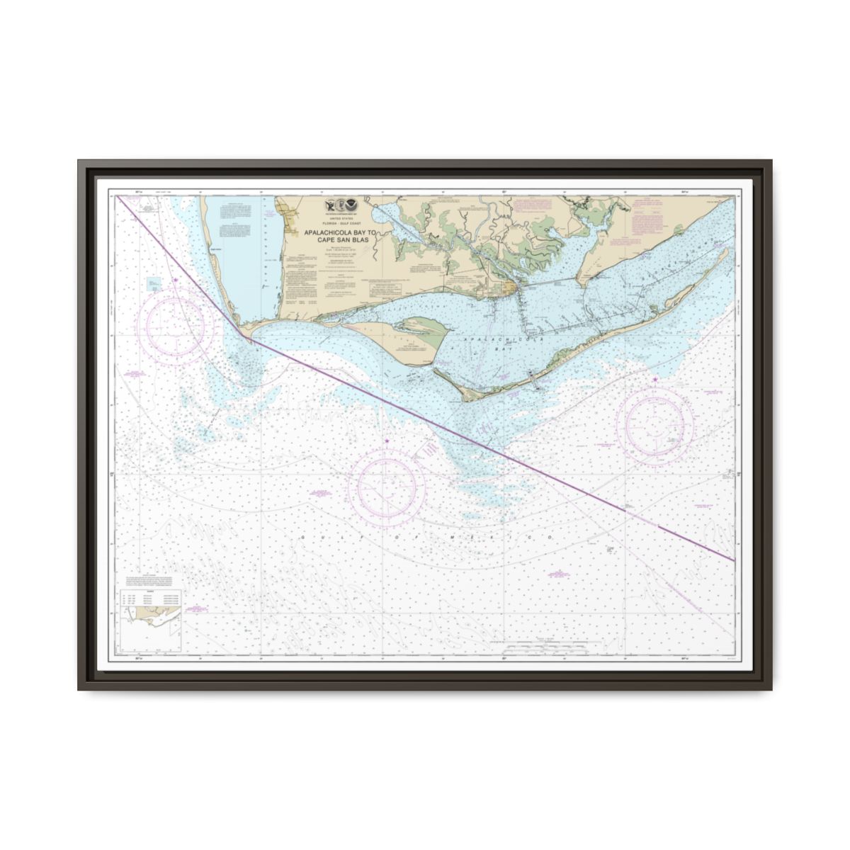 Chart 11401 Apalachicola Bay to Cape San Blas - NOAA Nautical Chart Floating Frame Canvas | 32" x 24" | 40" x 30" - Espresso front