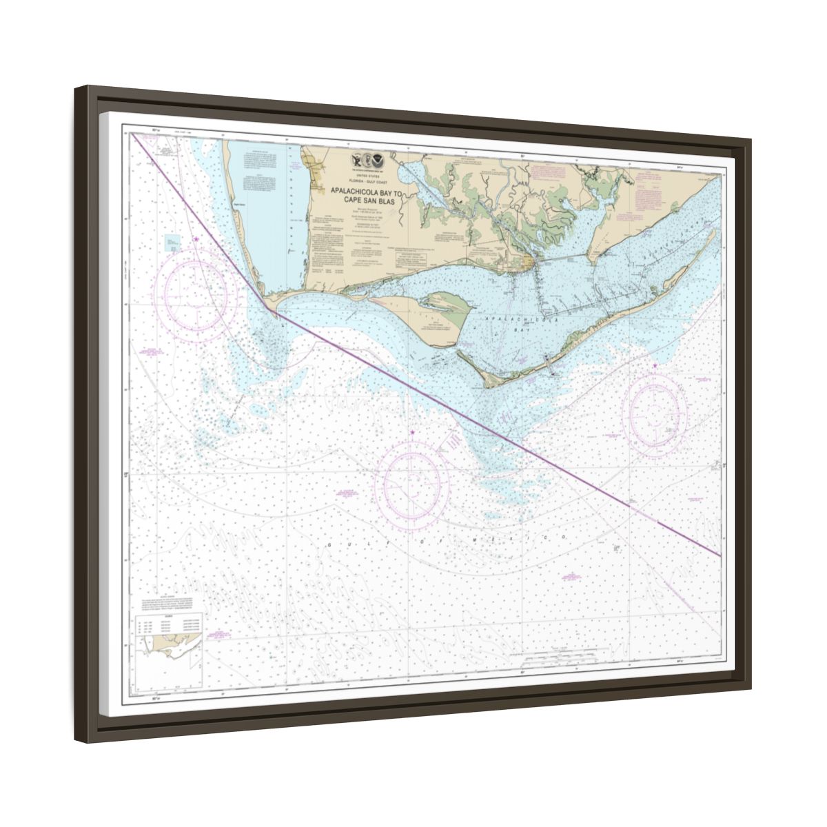 Chart 11401 Apalachicola Bay to Cape San Blas - NOAA Nautical Chart Floating Frame Canvas | 32" x 24" | 40" x 30" - Espresso side