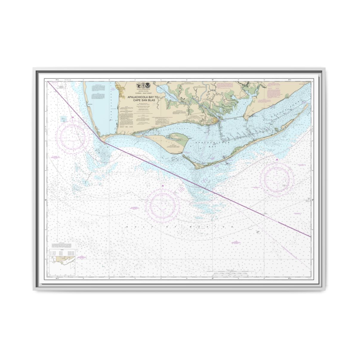 Chart 11401 Apalachicola Bay to Cape San Blas - NOAA Nautical Chart Floating Frame Canvas | 32" x 24" | 40" x 30" - White front