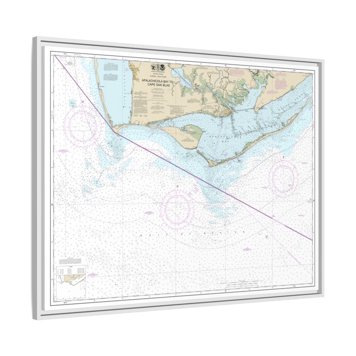 Chart 11401 Apalachicola Bay to Cape San Blas - NOAA Nautical Chart Floating Frame Canvas | 32" x 24" | 40" x 30" - White side