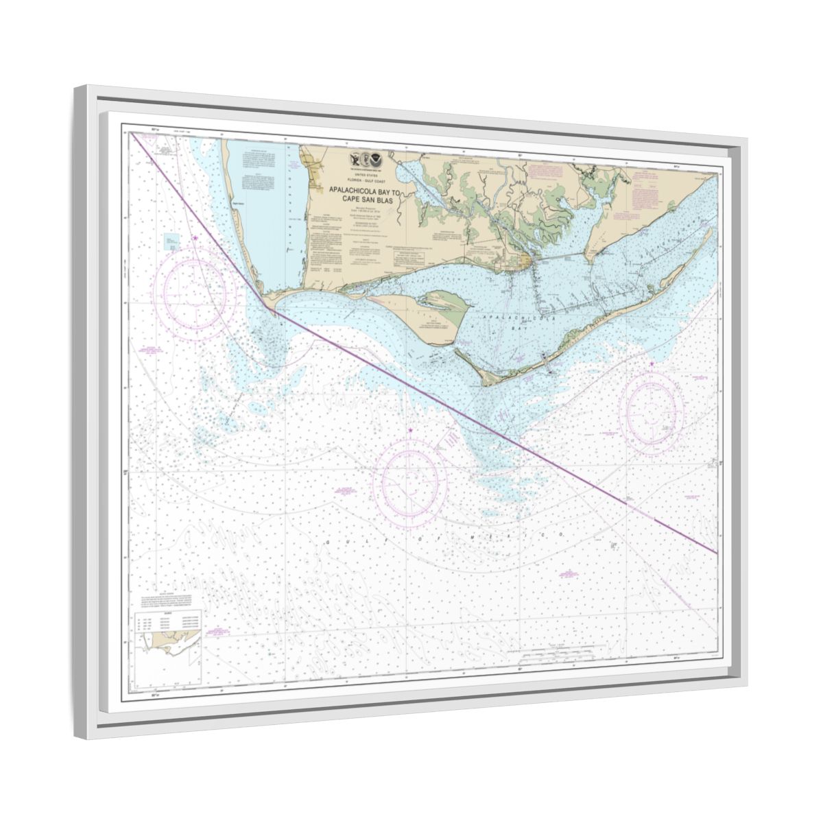 Chart 11401 Apalachicola Bay to Cape San Blas - NOAA Nautical Chart Floating Frame Canvas | 32" x 24" | 40" x 30" - White side