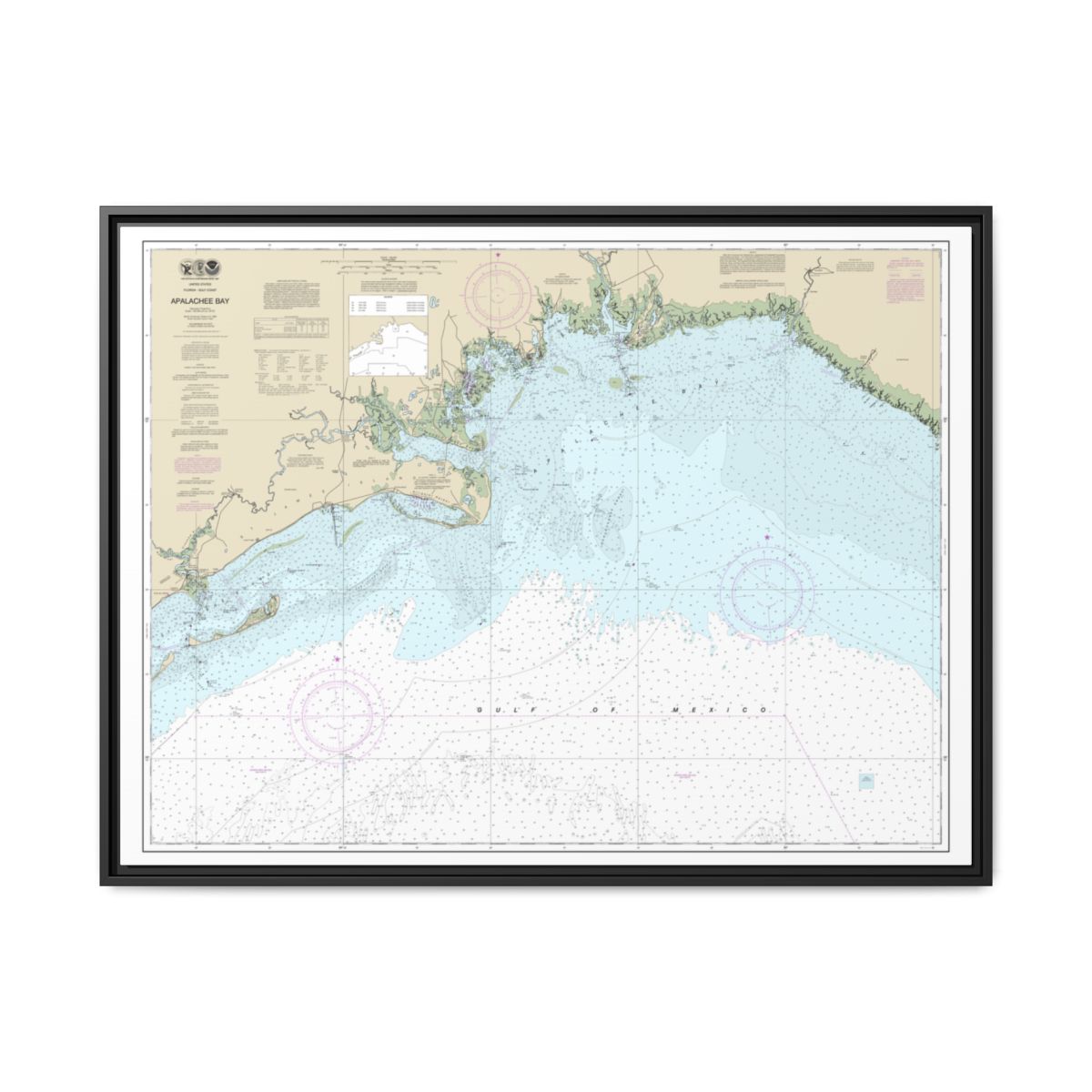 Chart 11405 Apalachee Bay - NOAA Nautical Chart Floating Frame Canvas | 32" x 24" | 40" x 30" - Black front