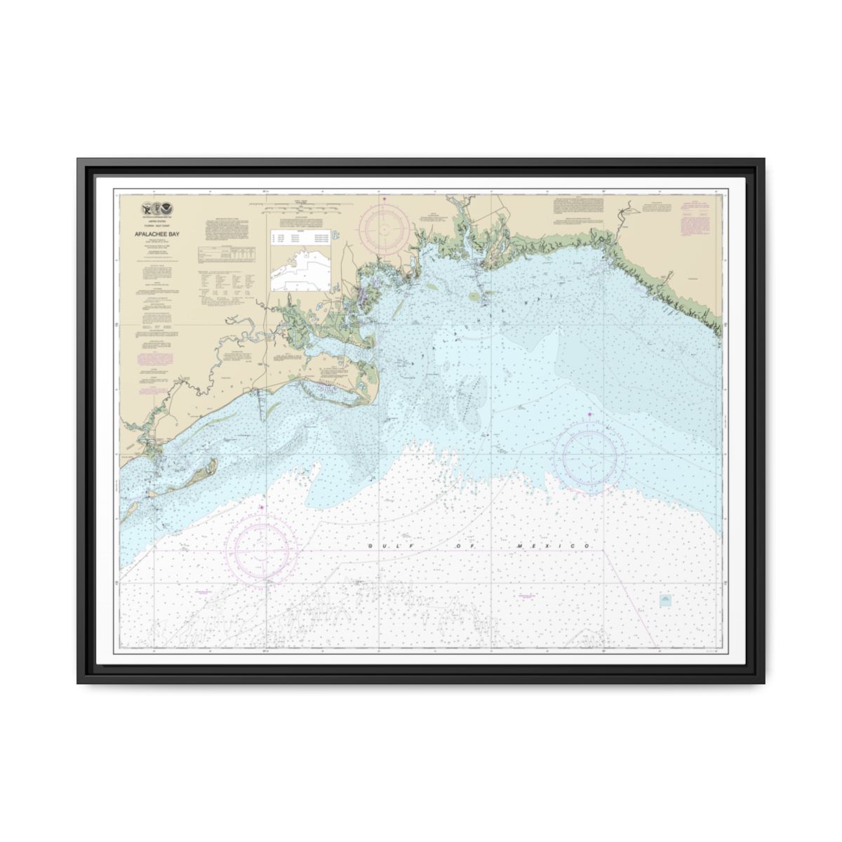 Chart 11405 Apalachee Bay - NOAA Nautical Chart Floating Frame Canvas | 32" x 24" | 40" x 30" - Black front