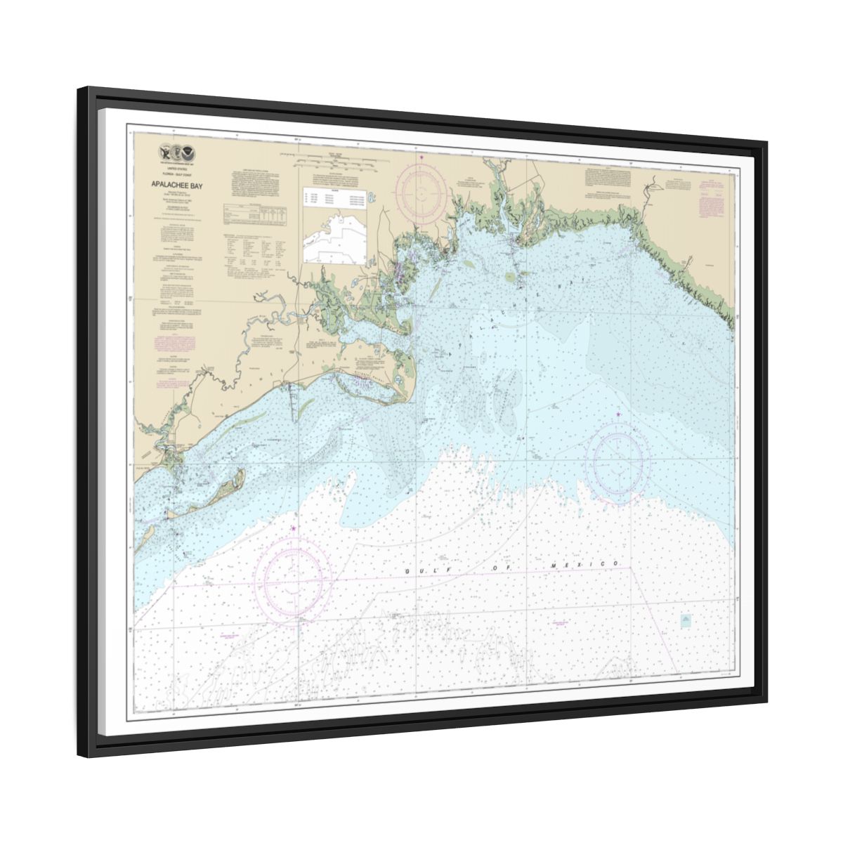 Chart 11405 Apalachee Bay - NOAA Nautical Chart Floating Frame Canvas | 32" x 24" | 40" x 30" - Black side