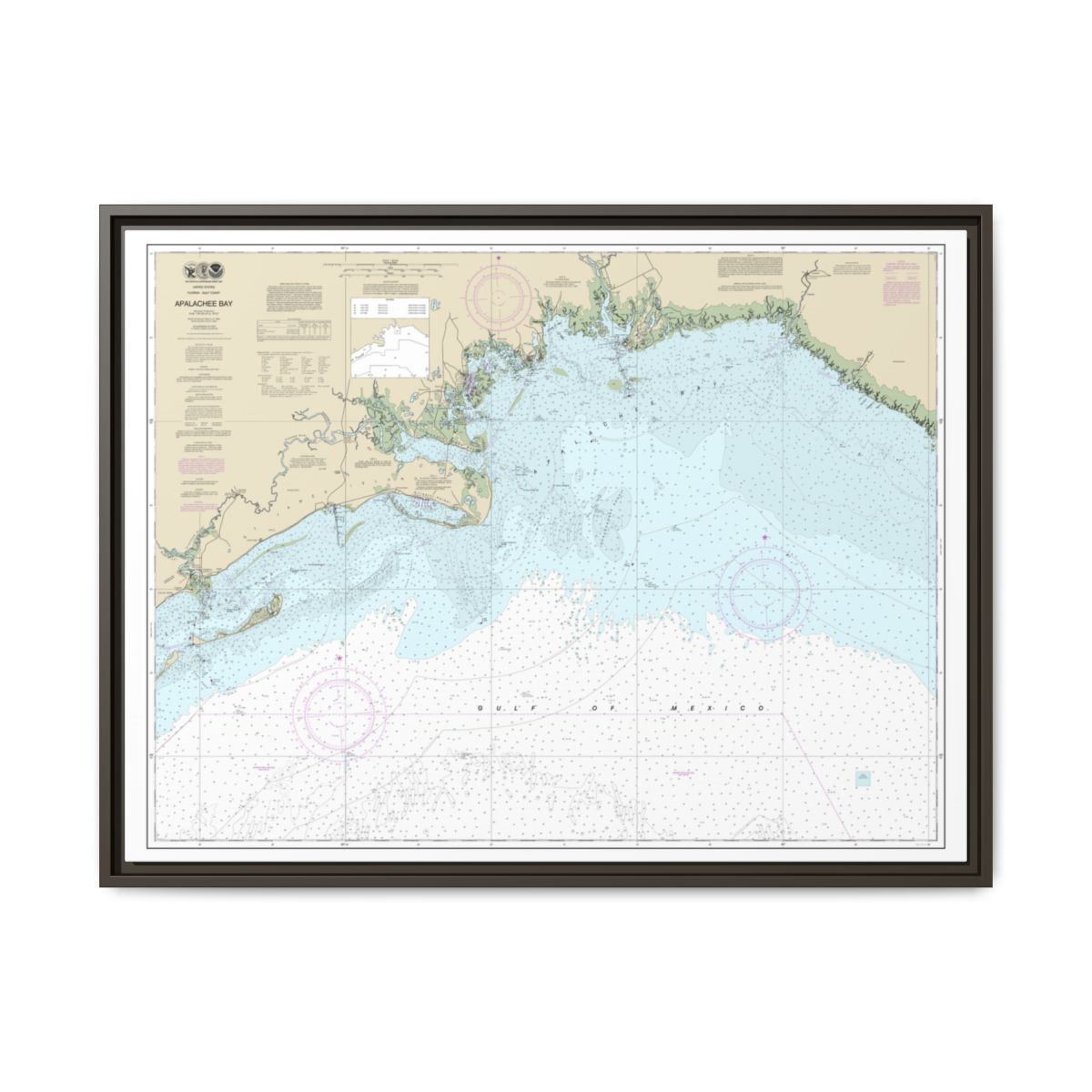 Chart 11405 Apalachee Bay - NOAA Nautical Chart Floating Frame Canvas | 32" x 24" | 40" x 30" - Espresso front