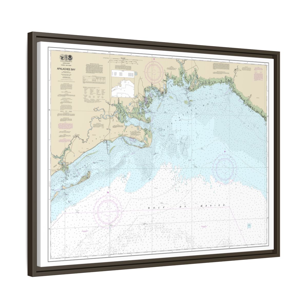 Chart 11405 Apalachee Bay - NOAA Nautical Chart Floating Frame Canvas | 32" x 24" | 40" x 30" - Espresso side
