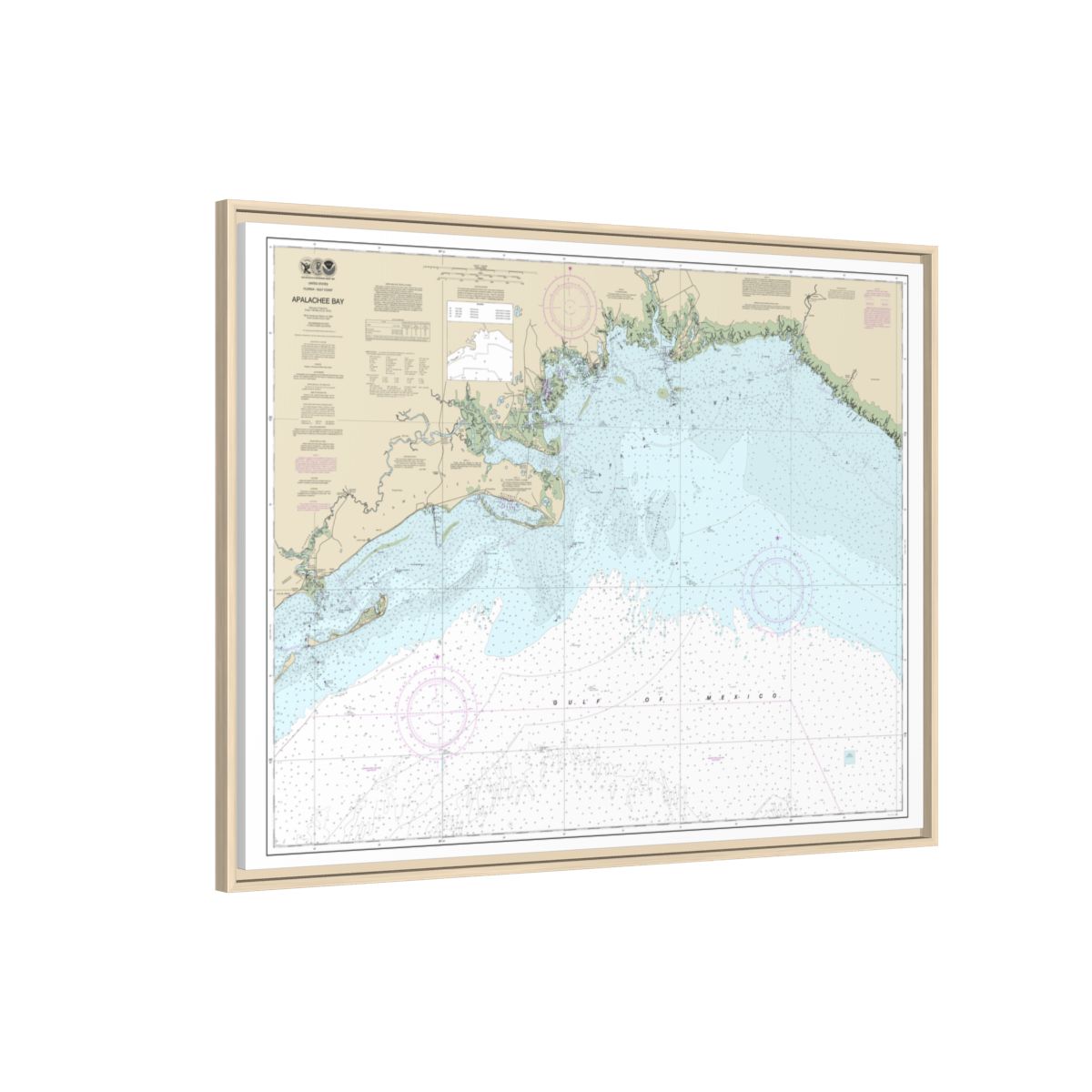 Chart 11405 Apalachee Bay - NOAA Nautical Chart Floating Frame Canvas | 32" x 24" | 40" x 30" - Natural side