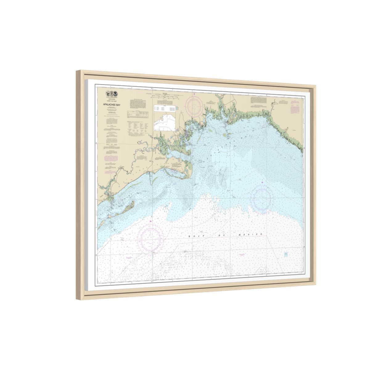 Chart 11405 Apalachee Bay - NOAA Nautical Chart Floating Frame Canvas | 32" x 24" | 40" x 30" - Natural side