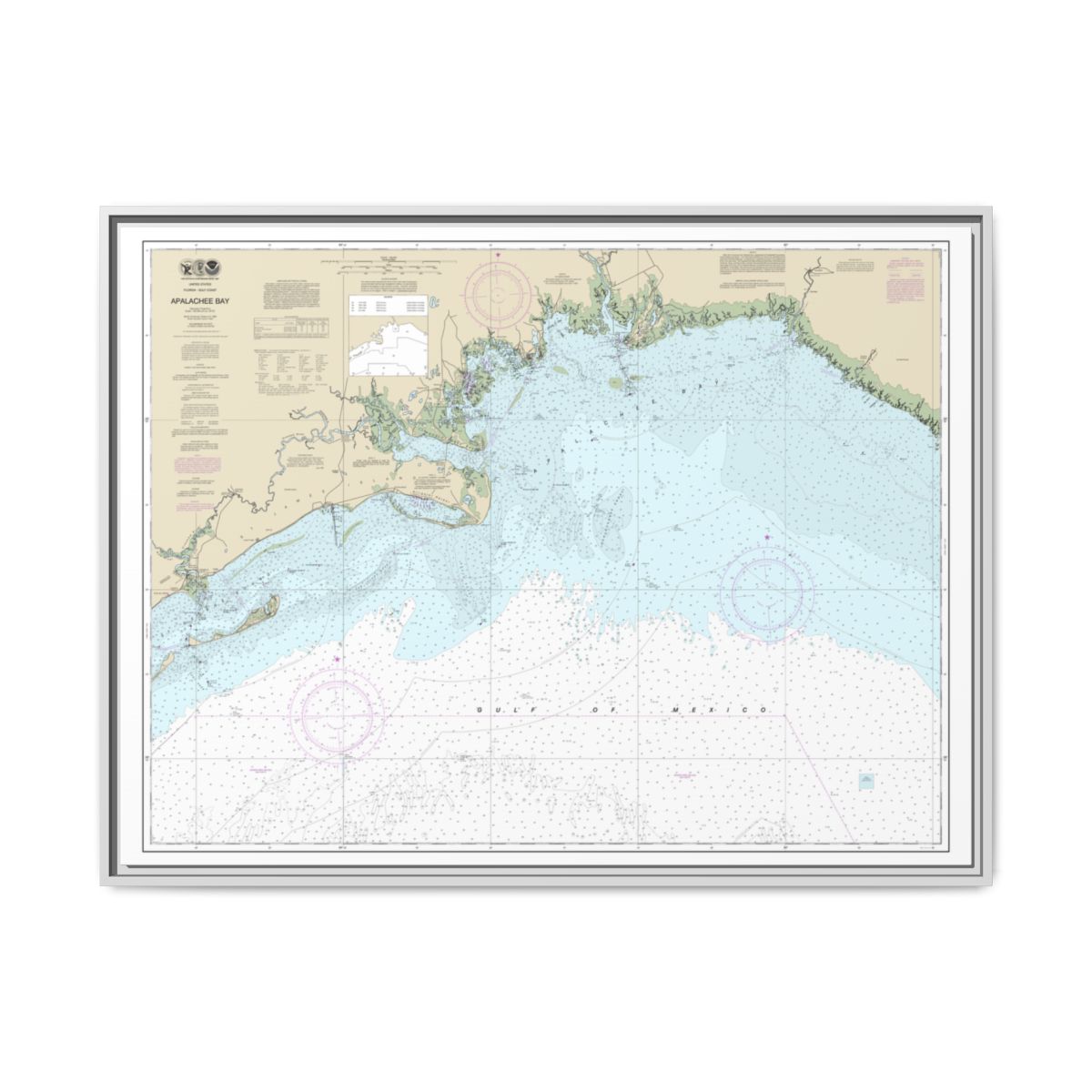 Chart 11405 Apalachee Bay - NOAA Nautical Chart Floating Frame Canvas | 32" x 24" | 40" x 30" - White front