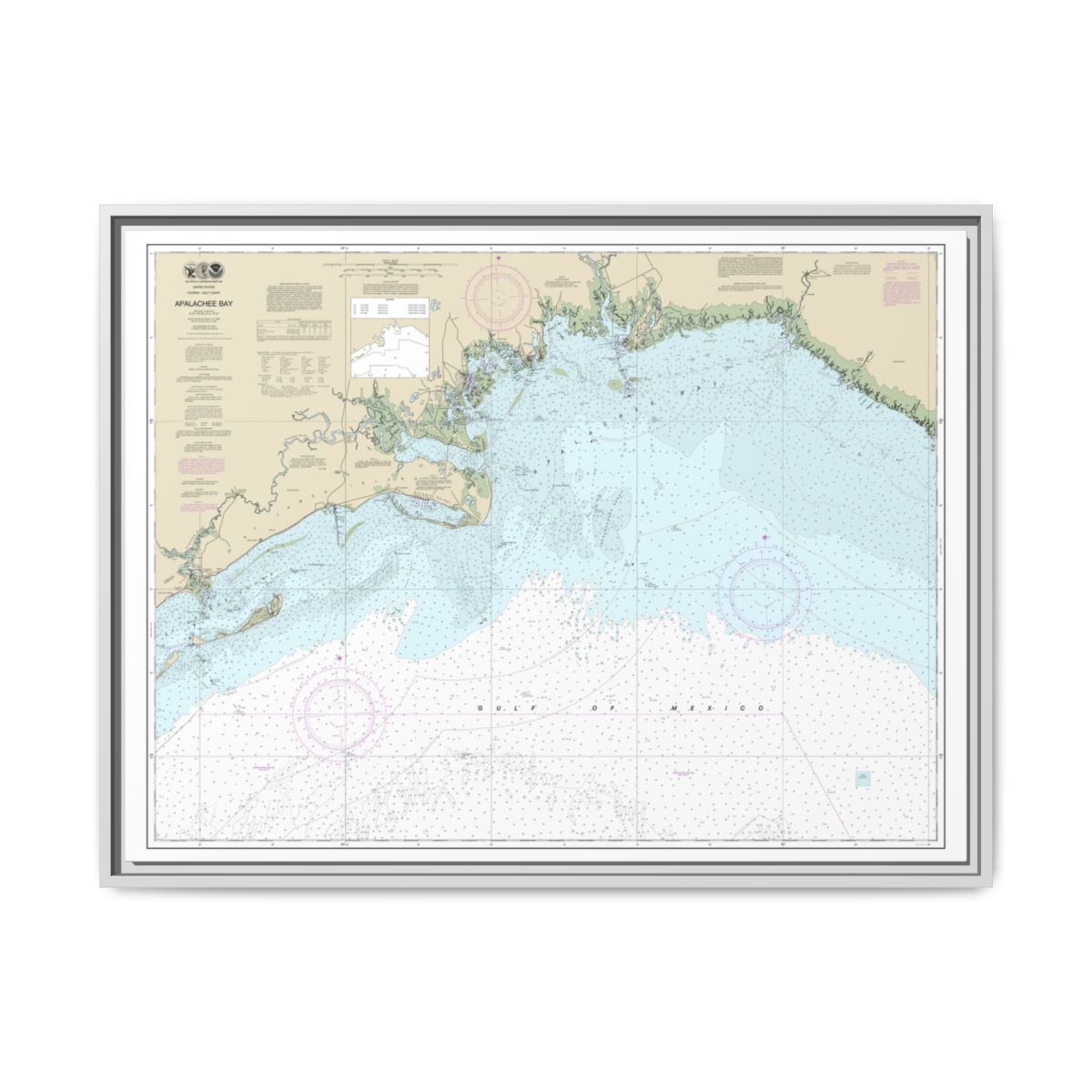 Chart 11405 Apalachee Bay - NOAA Nautical Chart Floating Frame Canvas | 32" x 24" | 40" x 30" - White front