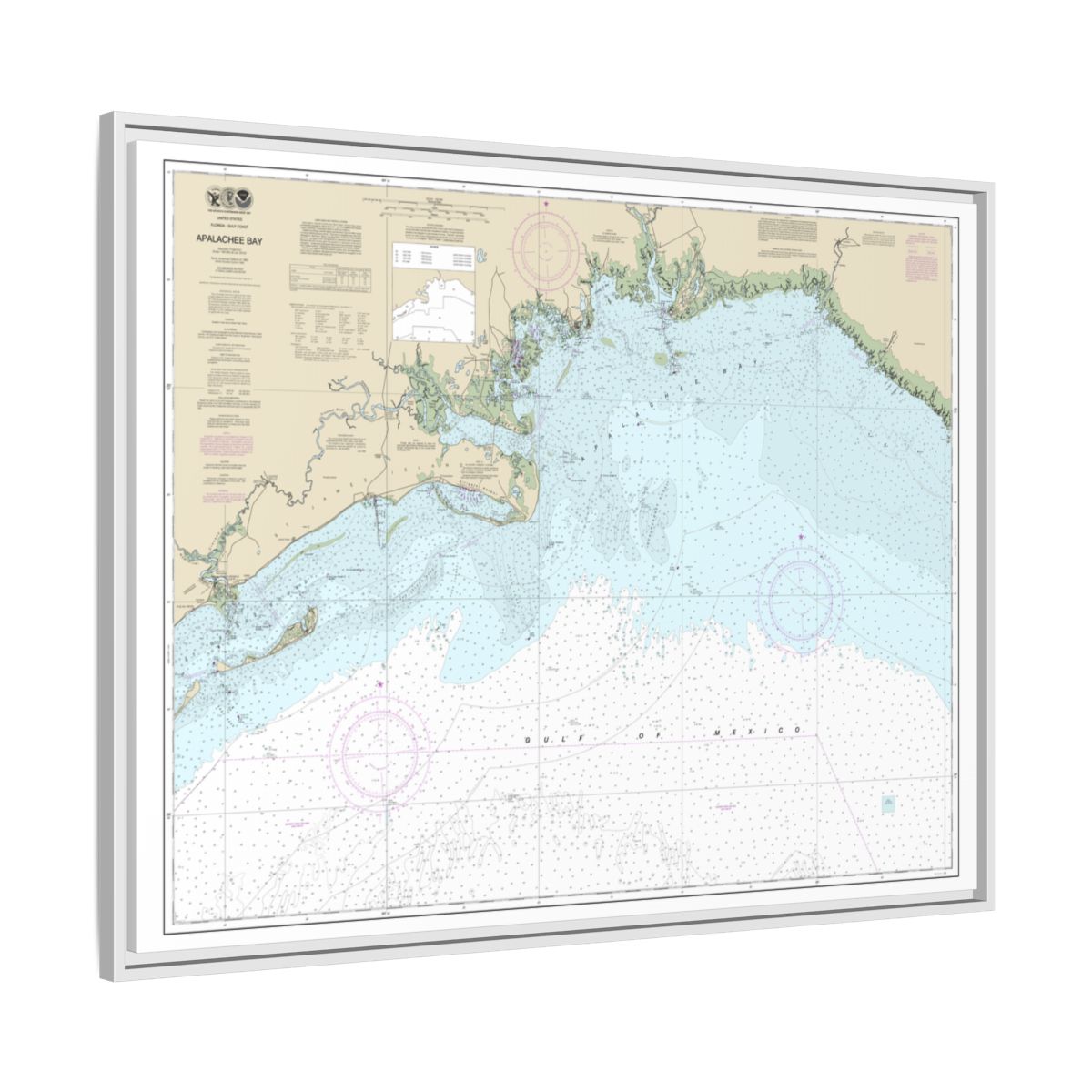 Chart 11405 Apalachee Bay - NOAA Nautical Chart Floating Frame Canvas | 32" x 24" | 40" x 30" - White side
