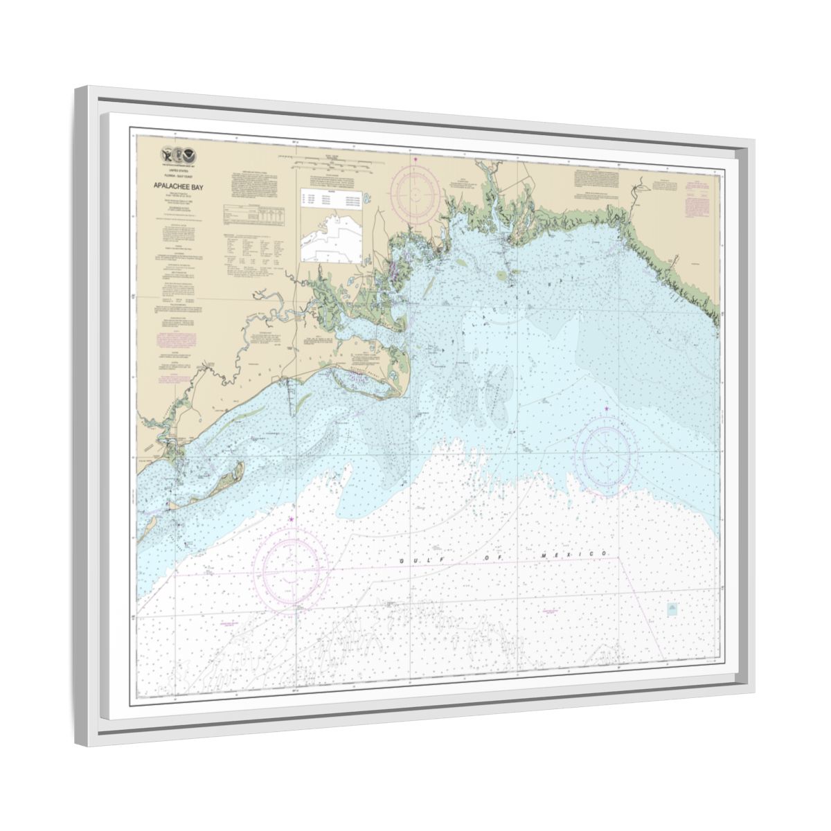 Chart 11405 Apalachee Bay - NOAA Nautical Chart Floating Frame Canvas | 32" x 24" | 40" x 30" - White side