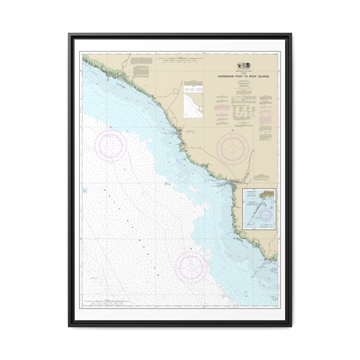 Chart 11407 Horseshoe Point to Rock Islands;Horseshoe Beach - NOAA Nautical Chart Floating Frame Canvas | 24" x 32" | 30" x 40" - Black front