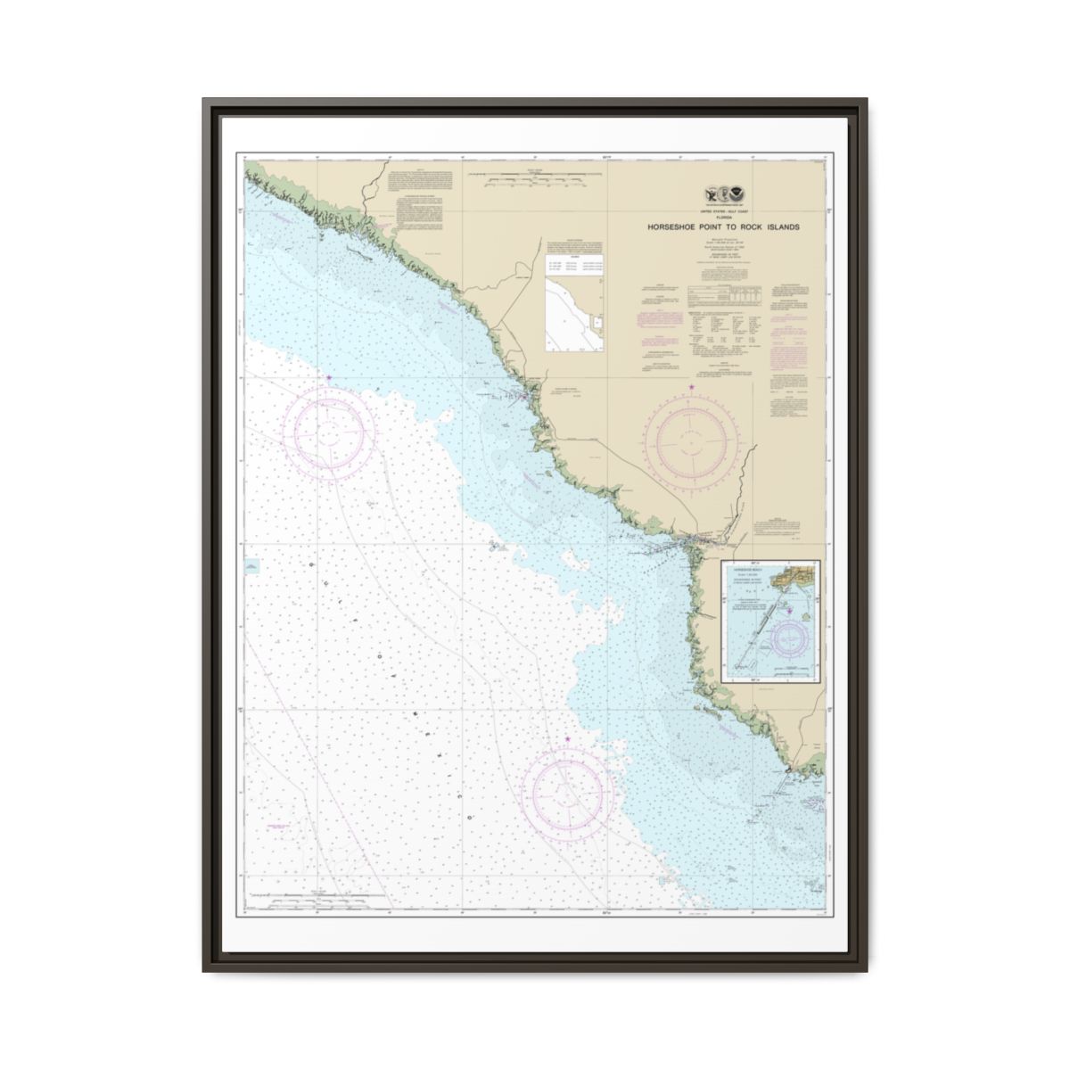 Chart 11407 Horseshoe Point to Rock Islands;Horseshoe Beach - NOAA Nautical Chart Floating Frame Canvas | 24" x 32" | 30" x 40" - Espresso front