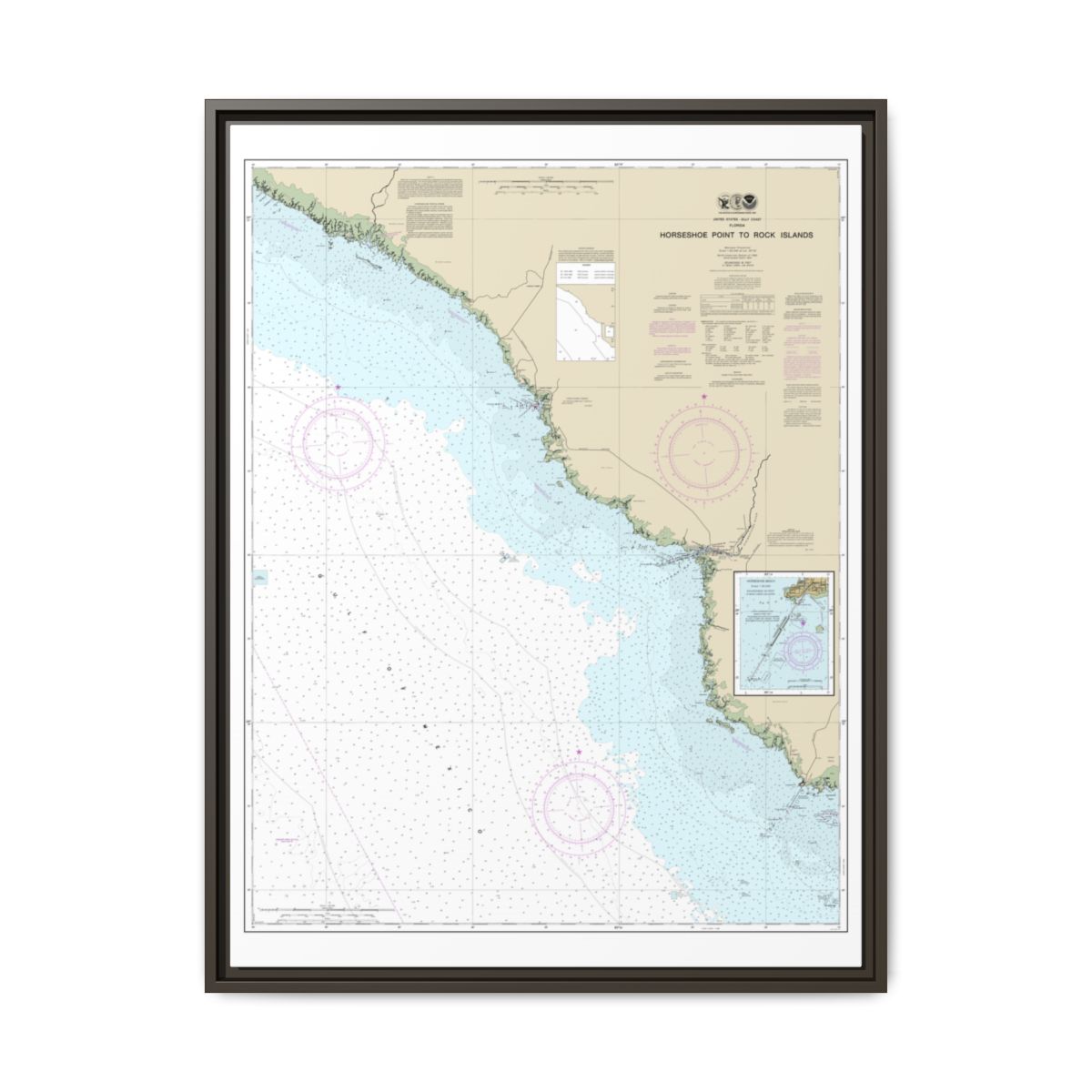 Chart 11407 Horseshoe Point to Rock Islands;Horseshoe Beach - NOAA Nautical Chart Floating Frame Canvas | 24" x 32" | 30" x 40" - Espresso front