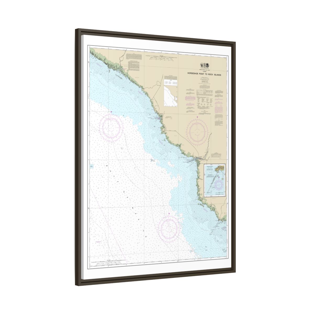 Chart 11407 Horseshoe Point to Rock Islands;Horseshoe Beach - NOAA Nautical Chart Floating Frame Canvas | 24" x 32" | 30" x 40" - Espresso side