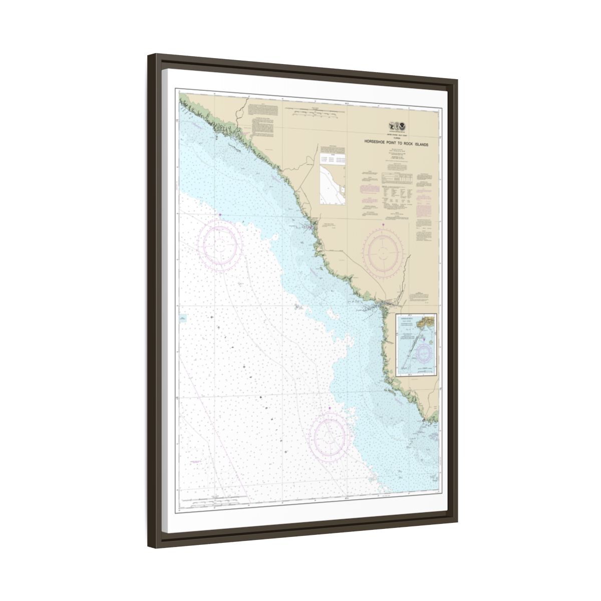 Chart 11407 Horseshoe Point to Rock Islands;Horseshoe Beach - NOAA Nautical Chart Floating Frame Canvas | 24" x 32" | 30" x 40" - Espresso side