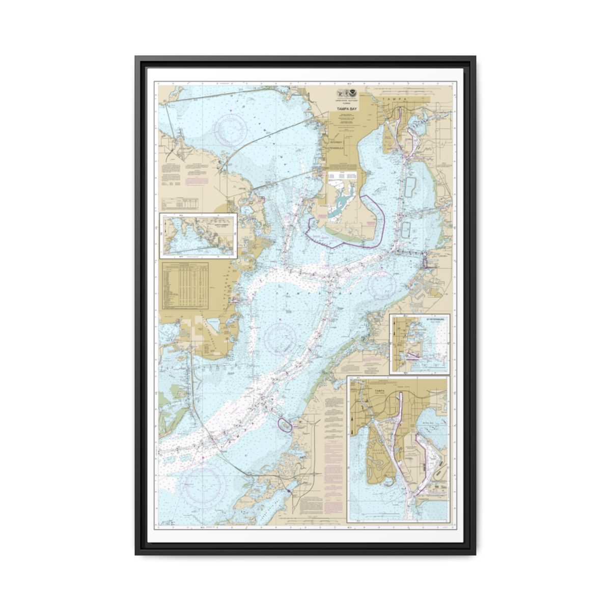 Chart 11416 Tampa Bay;Safety Harbor;St. Petersburg;Tampa - NOAA Nautical Chart Floating Frame Canvas | 20" x 30" | 24" x 36" | 32" x 48" - Black front